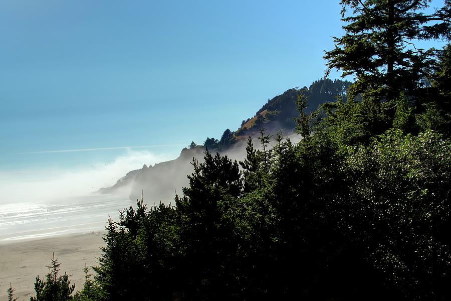 Agate Beach Mist Photograph by Jerry Sodorff