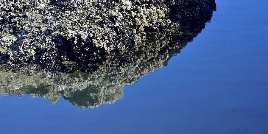 Agate Beach Reflections Photograph by Jerry Sodorff