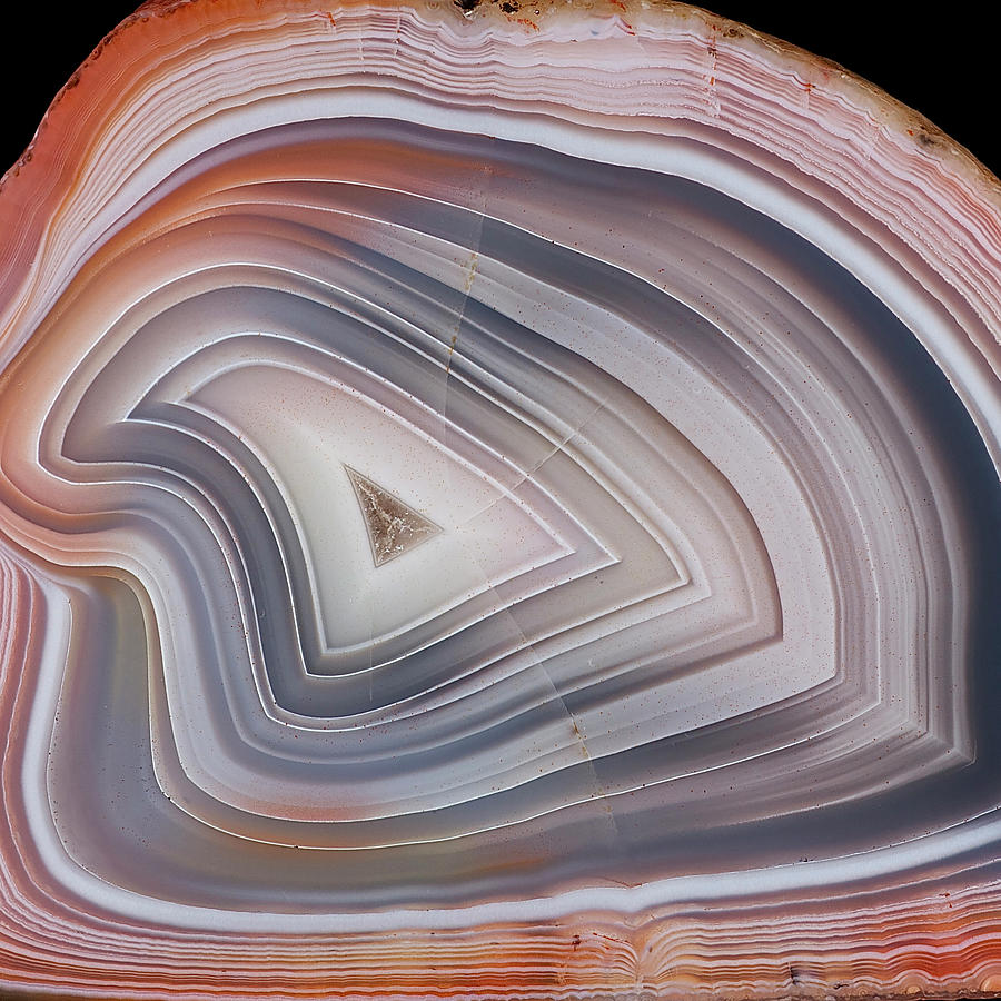 Agate Slice Texture 02 Painting by Aloke Design