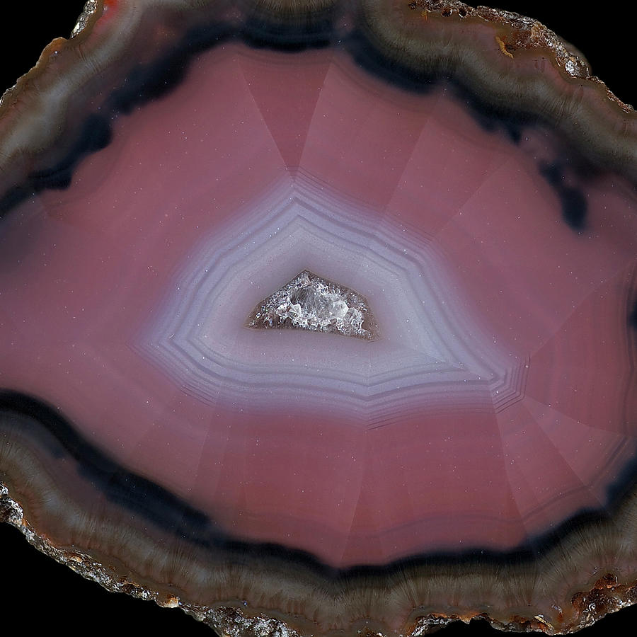 Agate Slice Texture 03 Painting by Aloke Design