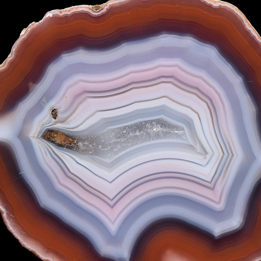 Agate Slice Texture 04 Painting by Aloke Design
