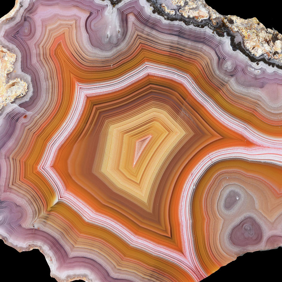Agate Slice Texture 05 Painting by Aloke Design