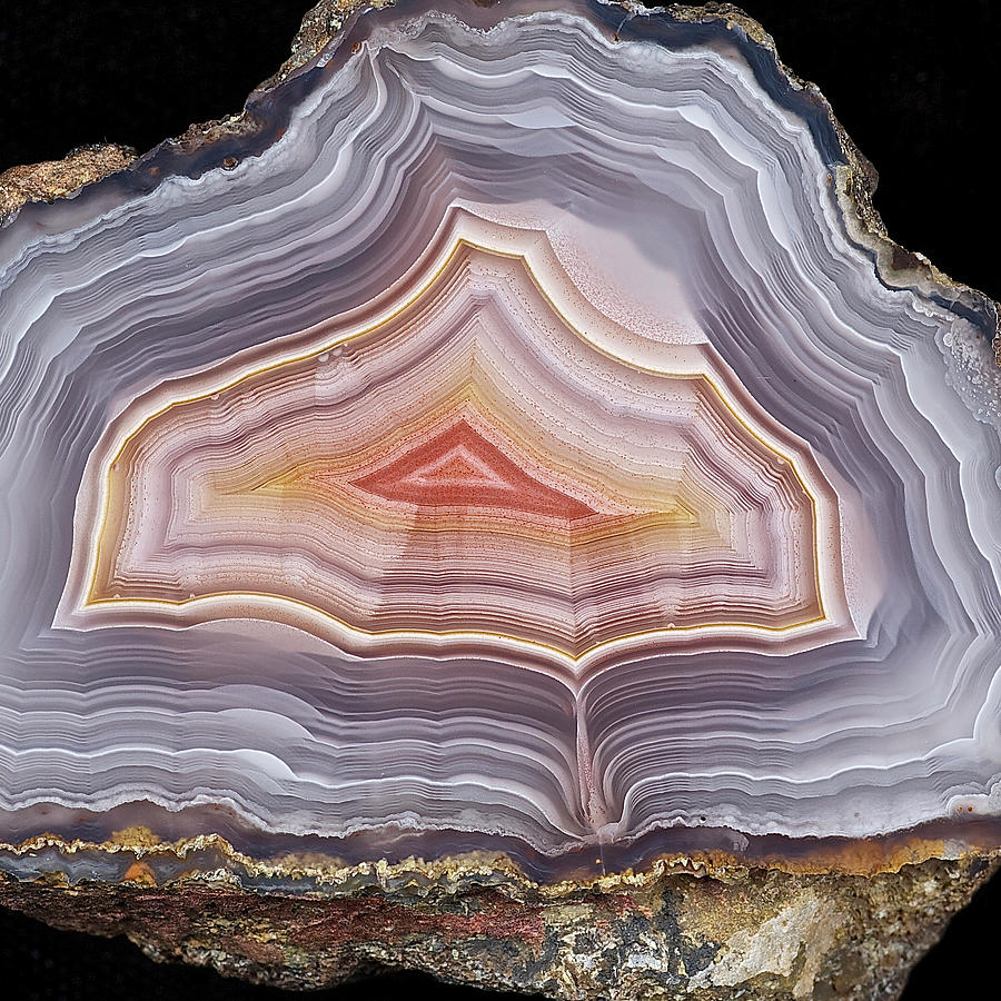 Agate Slice Texture 06 Painting by Aloke Design