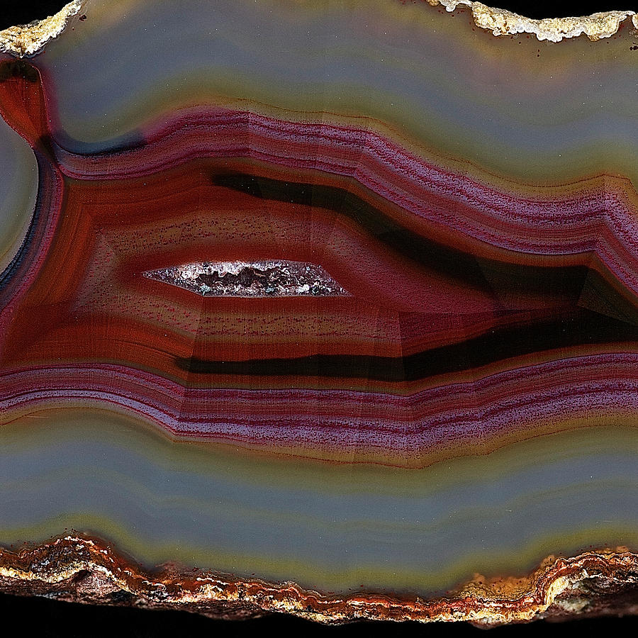 Agate Slice Texture 07 Painting by Aloke Design