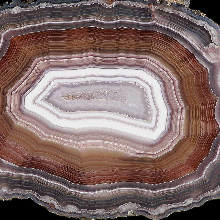 Agate Slice Texture 09 Painting by Aloke Design