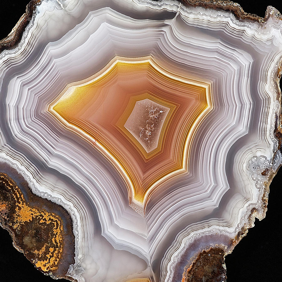 Agate Slice Texture 10 Painting by Aloke Design