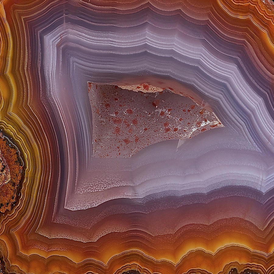 Agate Slice Texture 13 Painting by Aloke Design