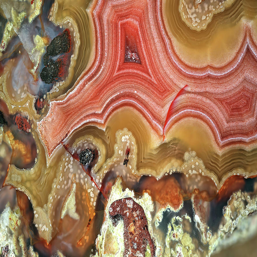 Agate Slice Texture 19 Painting by Aloke Design