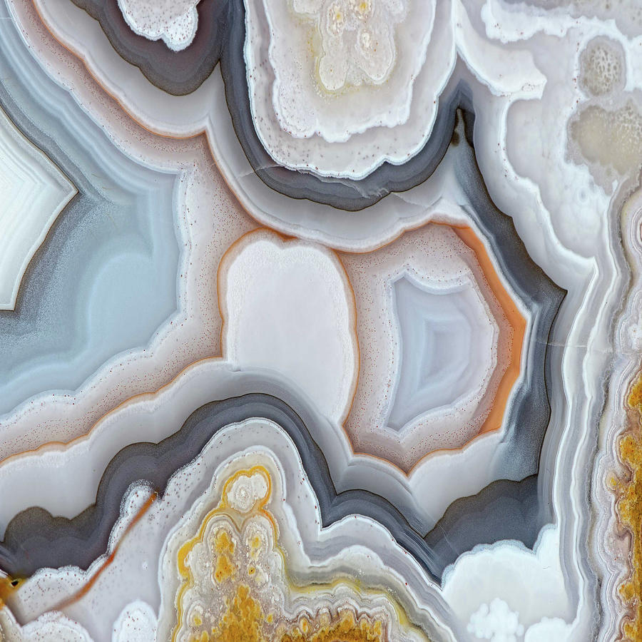 Agate Slice Texture 20 Painting by Aloke Design