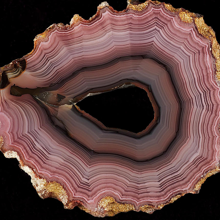 Agate Slice Texture 21 Painting by Aloke Design