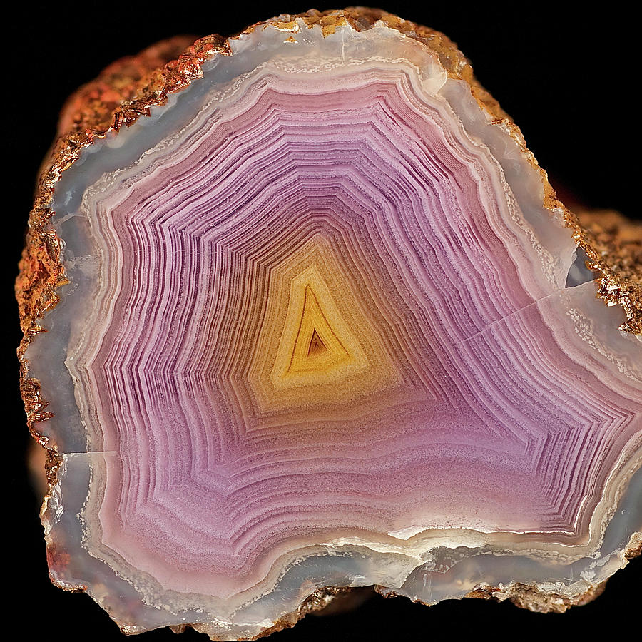 Agate Slice Texture 22 Painting by Aloke Design
