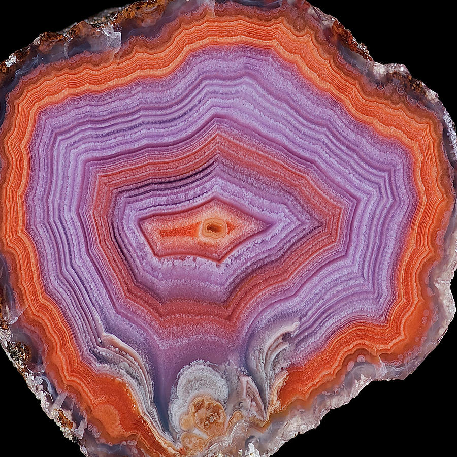 Agate Slice Texture 23 Painting by Aloke Design