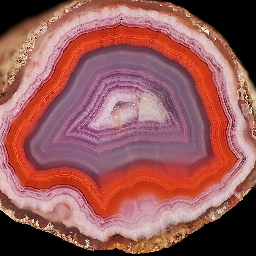 Agate Slice Texture 25 Painting by Aloke Design