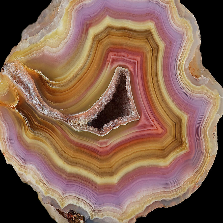 Agate Slice Texture 27 Painting by Aloke Design