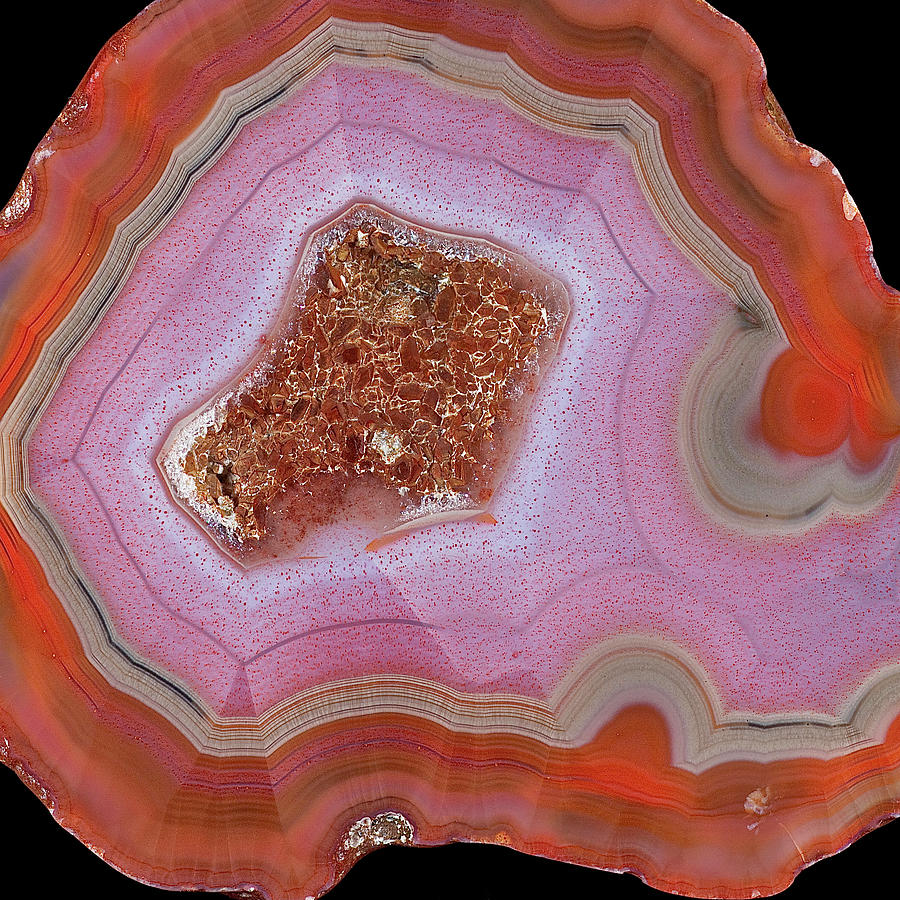 Agate Slice Texture 30 Painting by Aloke Design