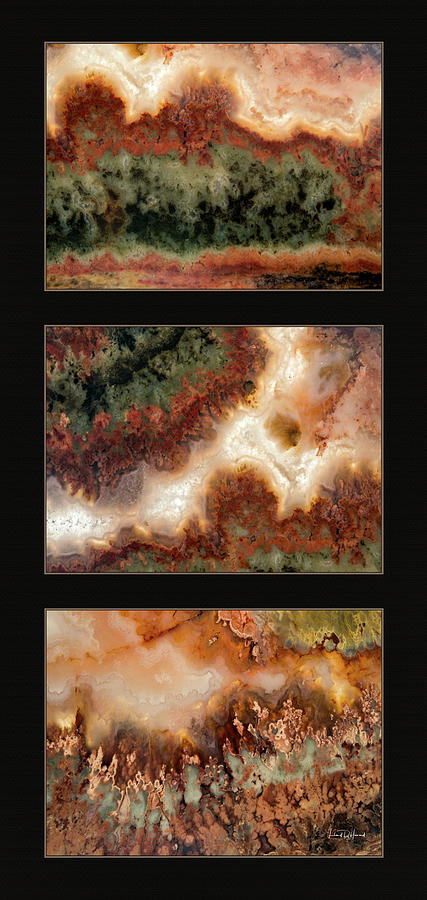 Agate Triptych 2 Photograph by Leland D Howard
