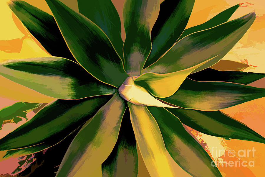 Agave Abstract Photograph by Roslyn Wilkins