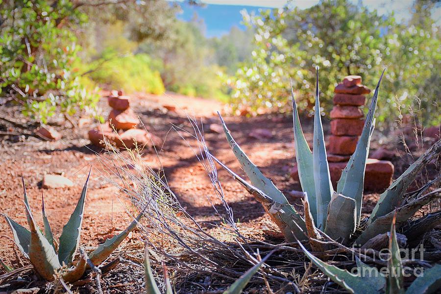 Agave and Cairn, Sedona Photograph by Leslie M Browning