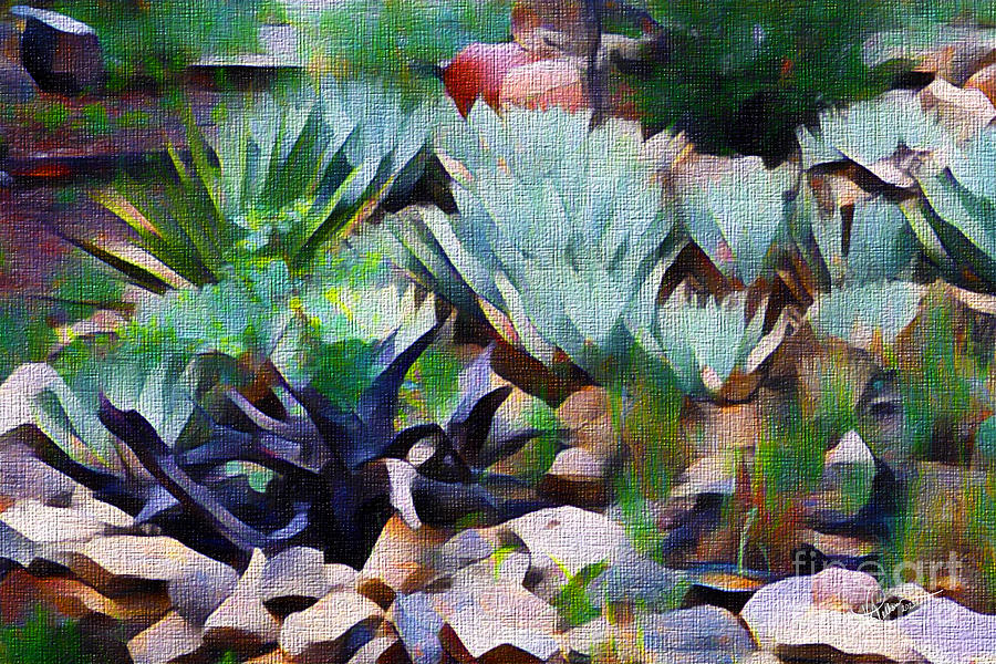 Agave Garden Digital Art by Vicki Pelham