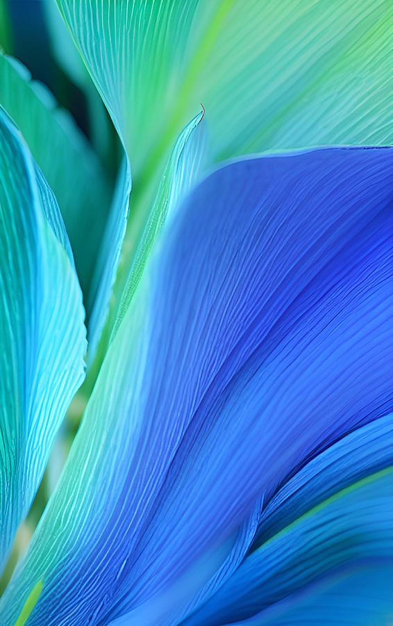 Agave Leaves - Blue Digital Art by Ronald Mills