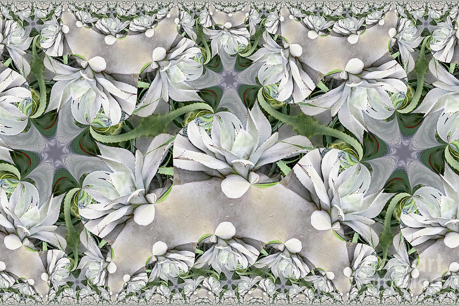 Agave Pattern Photograph by Marilyn Cornwell