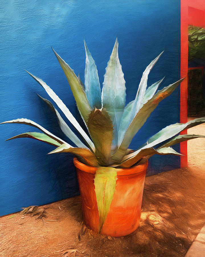 Agave Planter And Blue Wall Mixed Media by Ann Powell