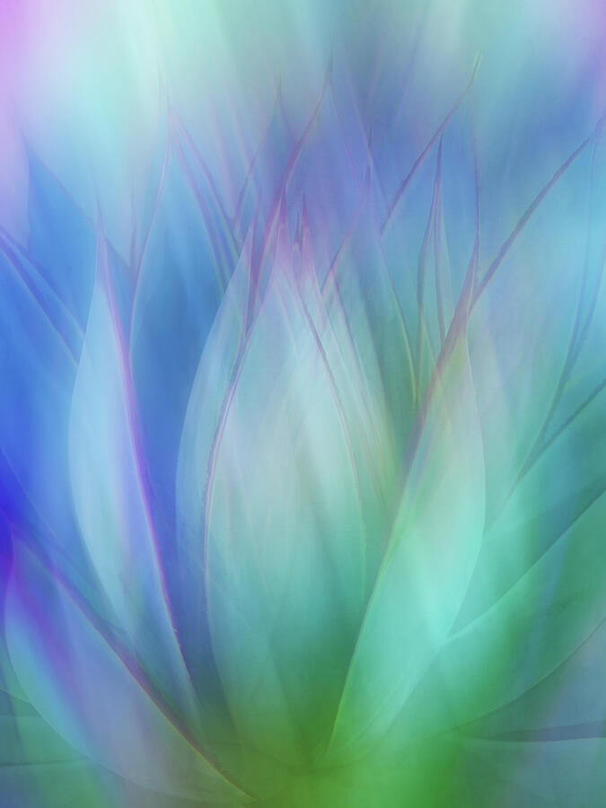 Nature Digital Art - Agave Saturated by Terry Davis