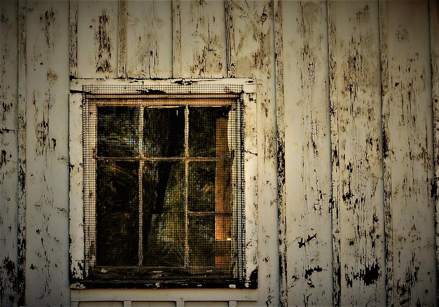 Aged Abandoned Shack and Window 7 Photograph by Elizabeth Pennington ...