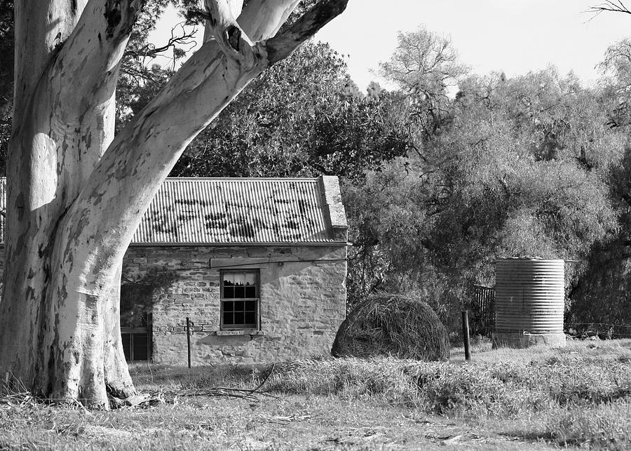 Aged Cottage Photograph by Lee Stickels