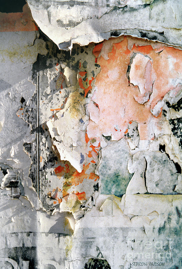 aged textures photographs - Torn Paper Photograph by Sharon Hudson
