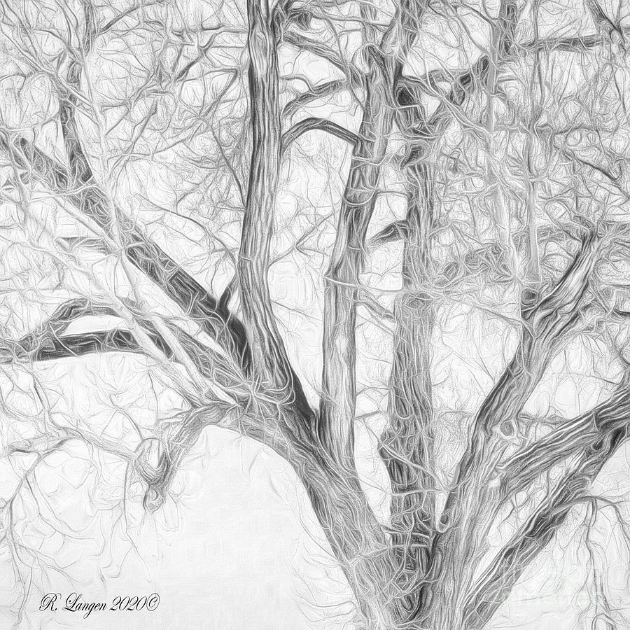 Aged Tree Digital Art by Rebecca Langen