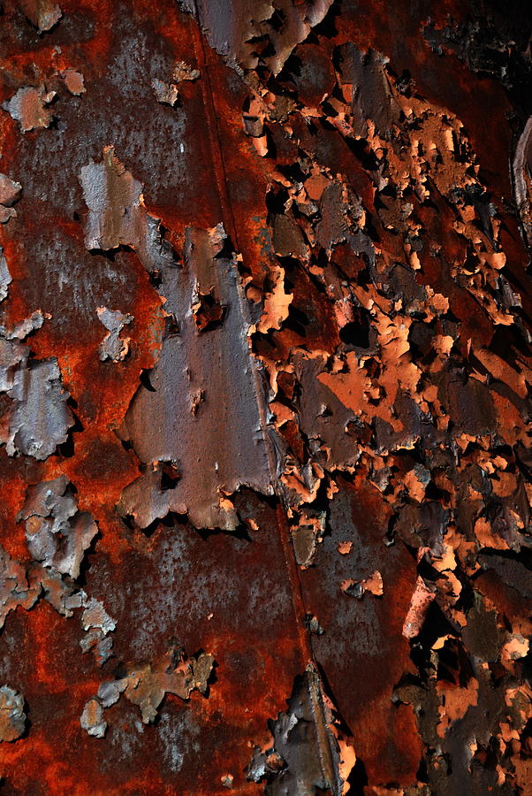 Aging Steel 3 Photograph by Jacqueline M Lewis - Fine Art America