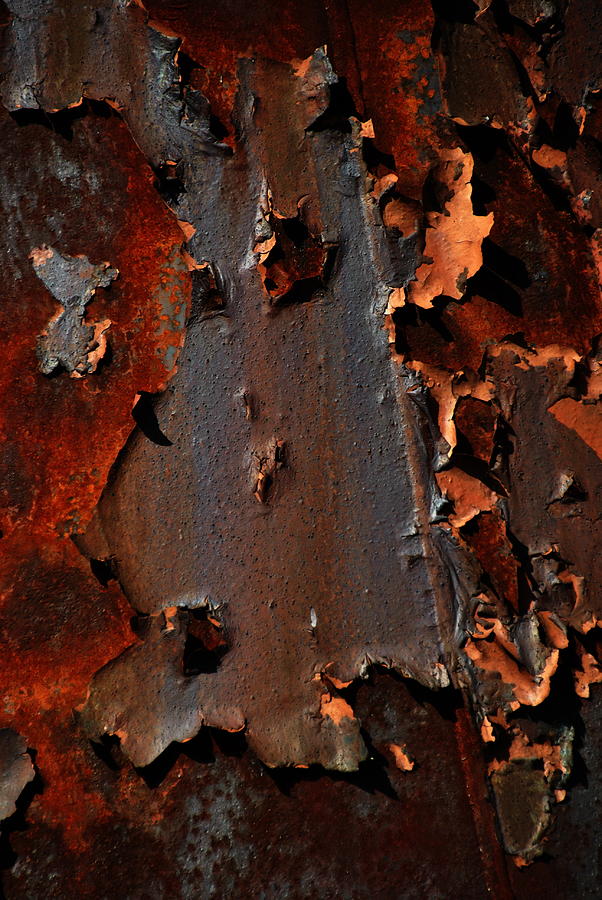 Aging Steel 4 Photograph by Jacqueline M Lewis