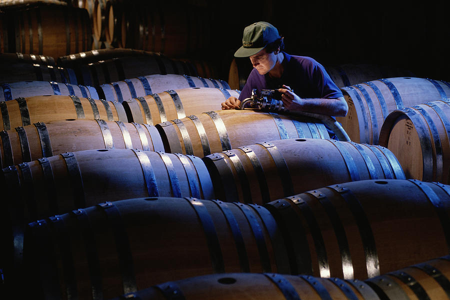Aging Wine In Barrels In Napa Valley, California Photograph by Michael Melford