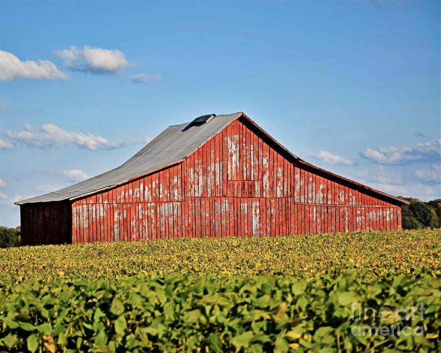 Agriculture Barn Photograph by Kathy M Krause