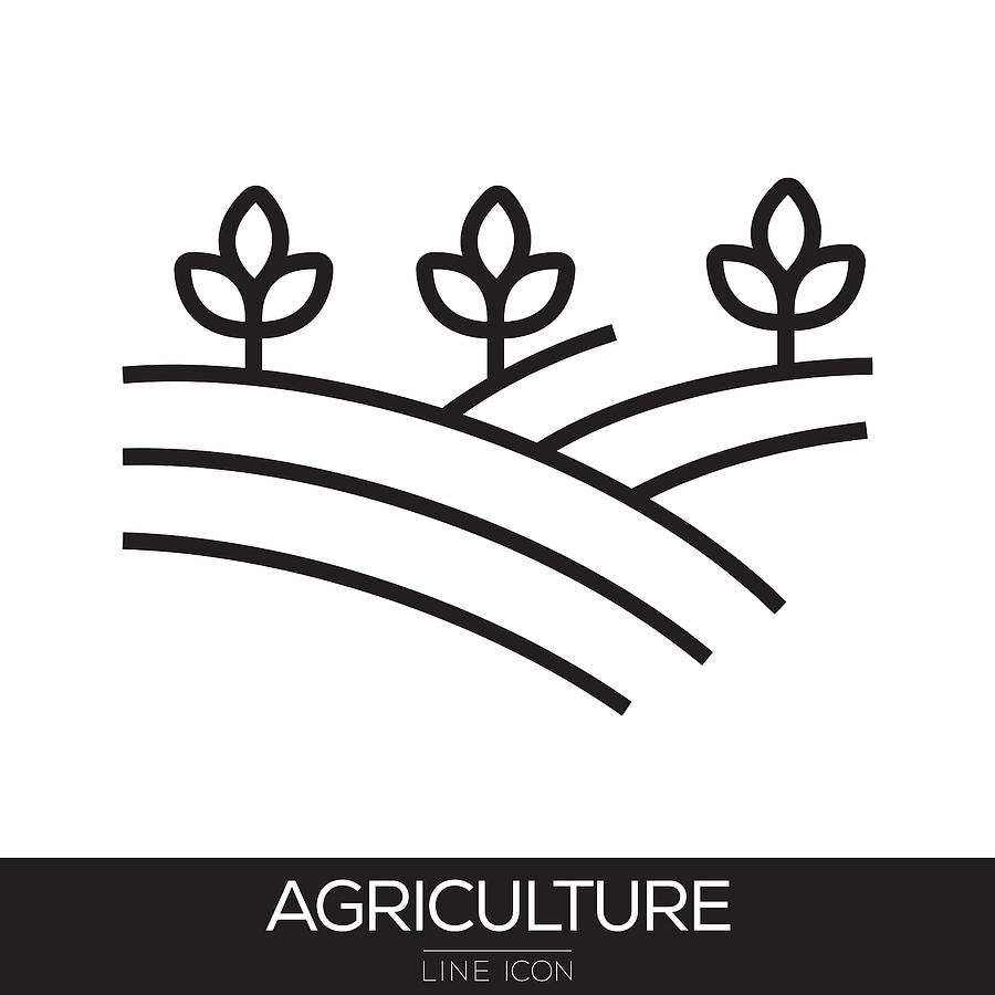 Agriculture Line Icon Drawing by Cnythzl
