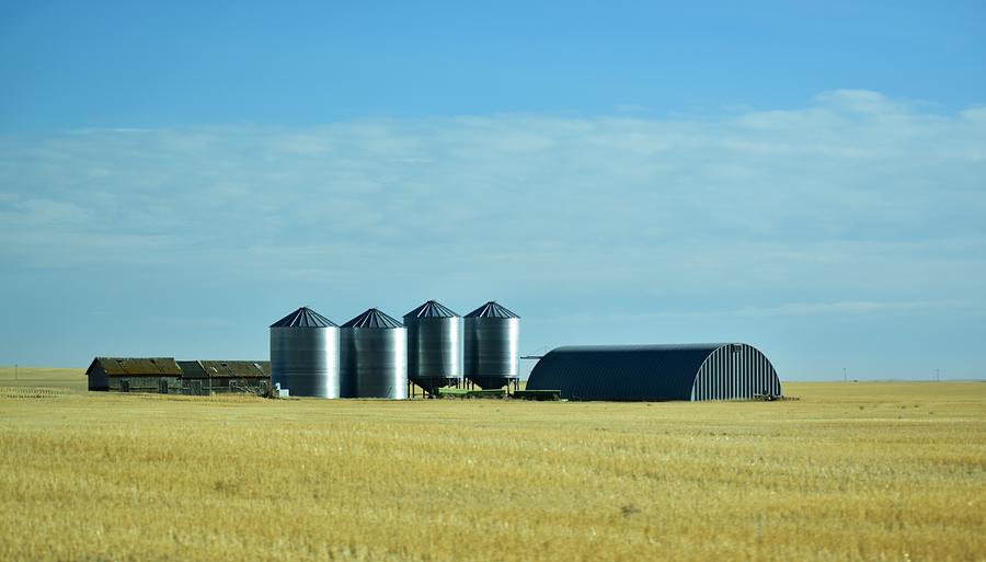 Agriculture Saskatchewan Photograph
