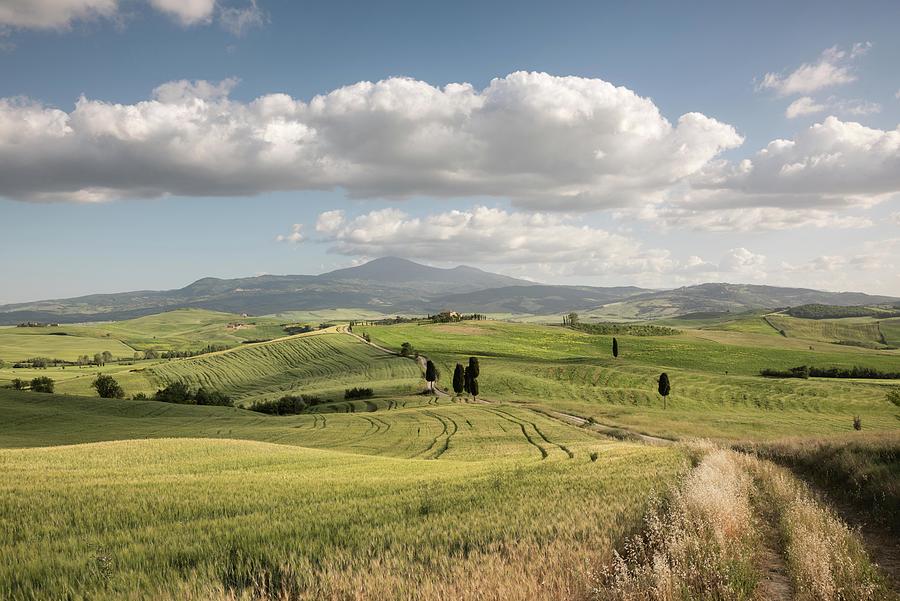 Agriturismo Terrapille, Pienza, Tuscany, Italy Photograph by Sarah Howard