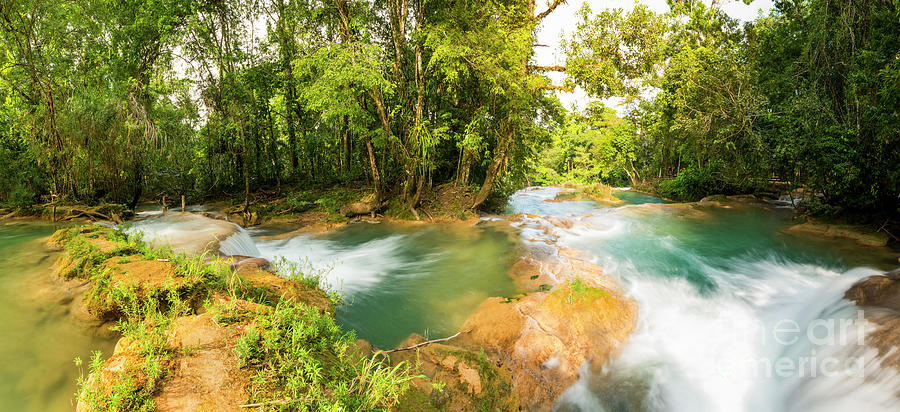 Jungle Photograph - Agua Azul Panorama by THP Creative