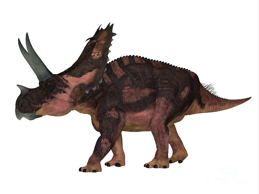 Agujaceratops Side Profile Digital Art by Corey Ford