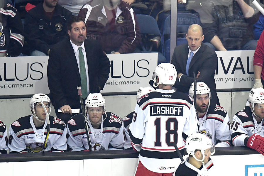AHL: MAR 18 Grand Rapids Griffins at Chicago Wolves Photograph by Icon Sportswire