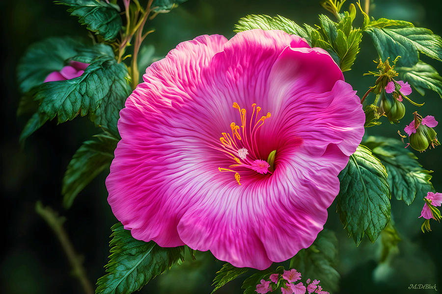 AI Airbrush Effect Hibiscus Photograph by Marilyn DeBlock - Pixels