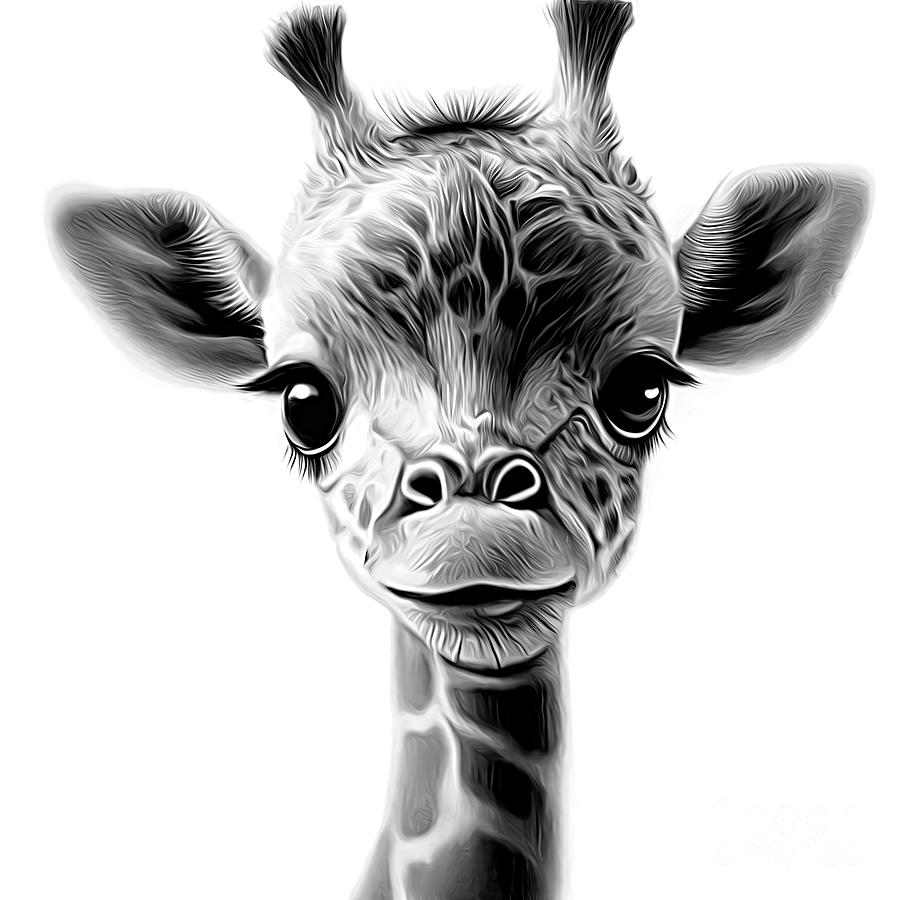 Cartoon giraffe. Vector illustration of a cute giraffe. Drawing animal for  children. Zoo for kids. Stock Vector | Adobe Stock