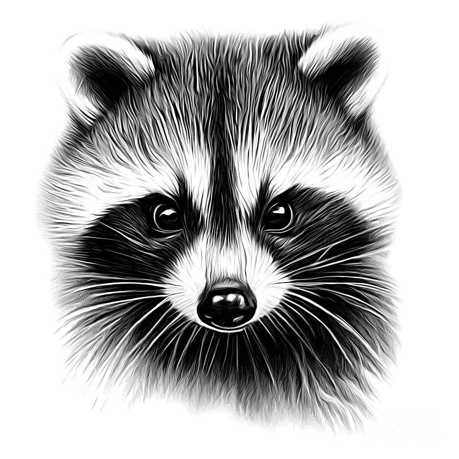 AI Art Drawing of a Baby Raccoon Abstract Expressionism Digital Art by Rose Santuci-Sofranko