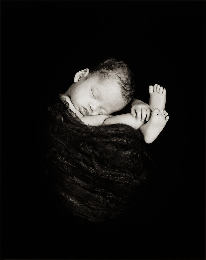 Black & White Photograph - Aiden in Black Silk by Anne Geddes