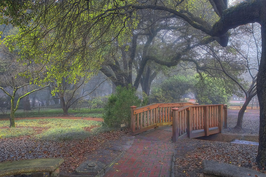 Magnolia Movie Photograph - Aiken Misty Morning at Hopelands Gardens  by Steve Rich