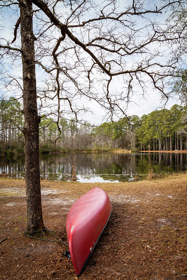 Abandoned Canoe at Aiken State Park Photograph by Cindy Robinson