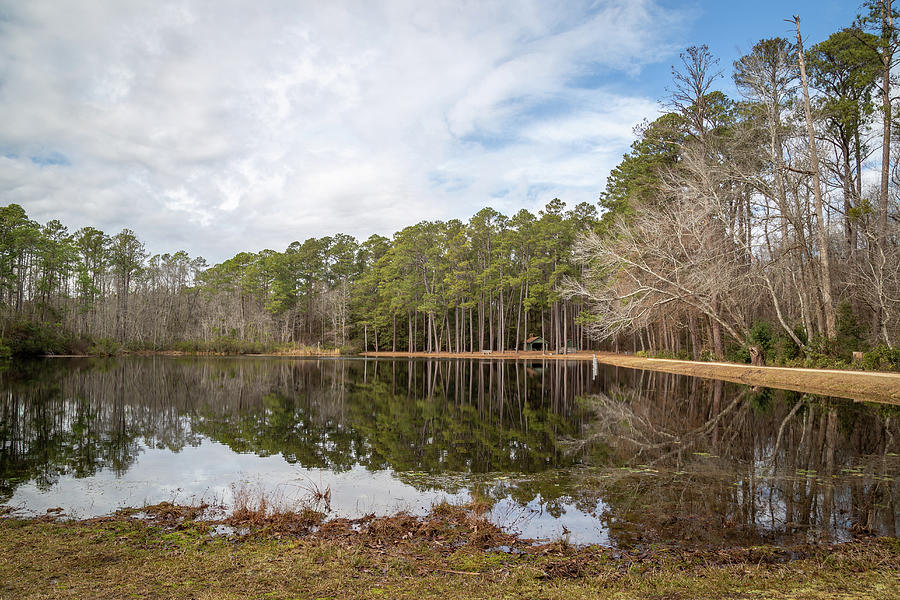 Wide View at Aiken State Park Photograph by Cindy Robinson