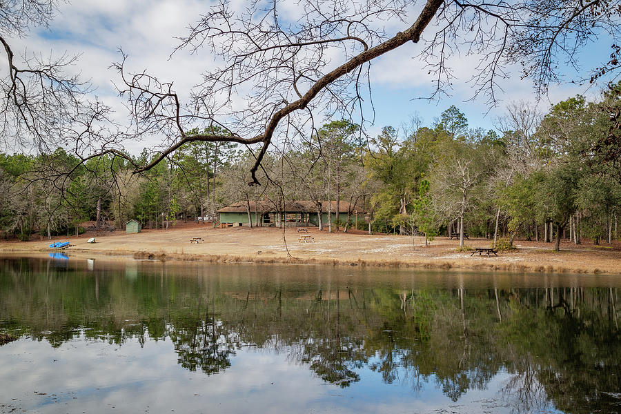 Lake with Reflections at Aiken State Park Photograph by Cindy Robinson