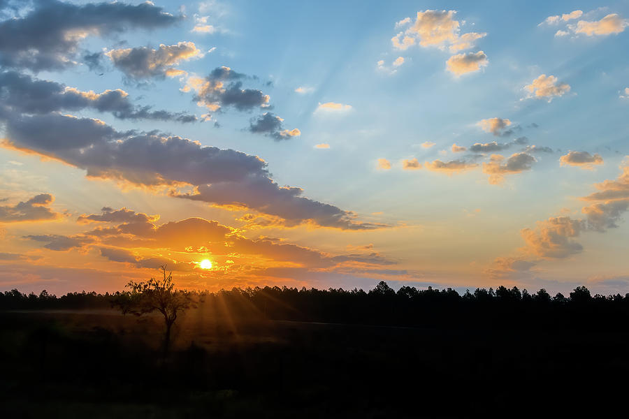Aiken Sunrise Photograph by John Kirkland